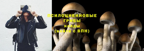 тгк Балахна