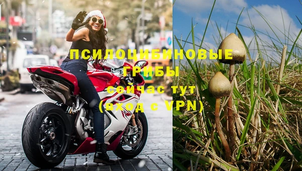 тгк Балахна