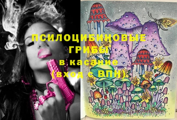 тгк Балахна