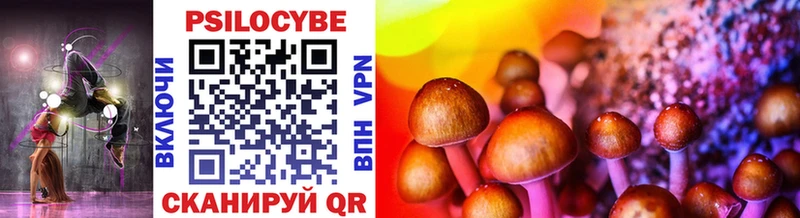 Купить Кудрово Галлюциногенные грибы Magic Shrooms